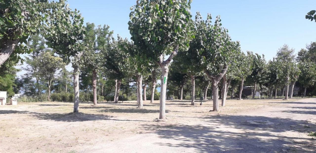 Camping Torre Mucchia Ortona Bagian luar foto